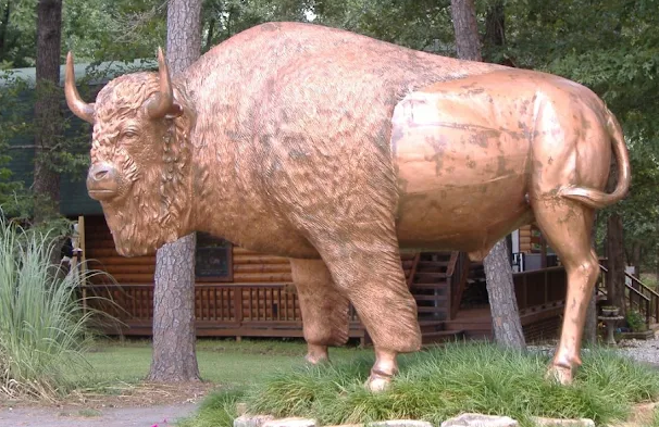 Things To Do Beavers Bend Wildlife Museum 